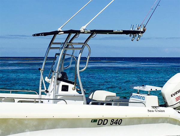 Promocja! Dolphin Pro2 z konso – Fishing Rod Boat recenzja i cena
